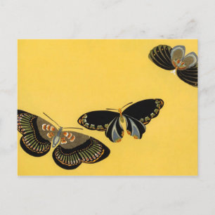 Vintage Butterflies Postcard