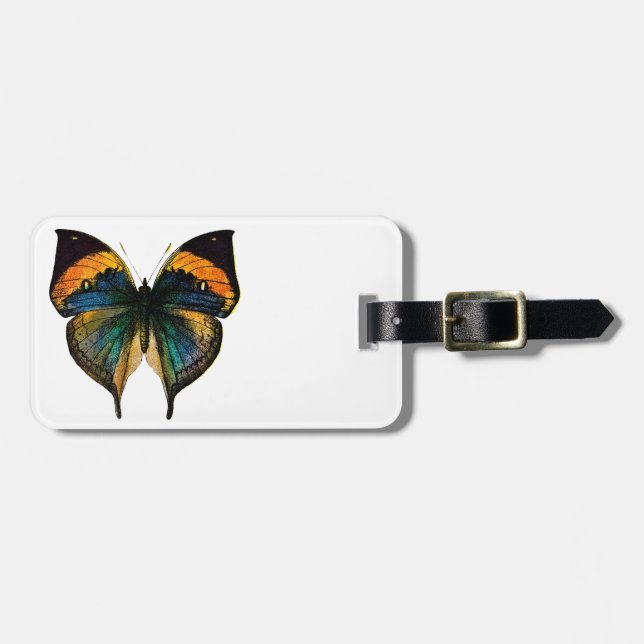 Vintage Butterfly - 1800's Antique Butterfly Litho Luggage Tag (Front Horizontal)