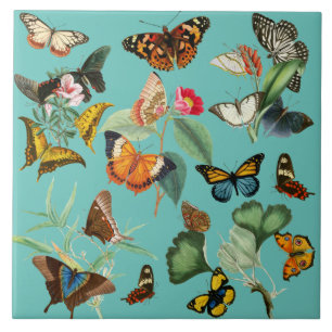 Vintage Butterfly Art, Many Kinds and Colours Ceramic Tile