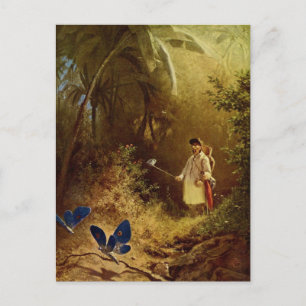 Vintage Butterfly Catcher Postcard