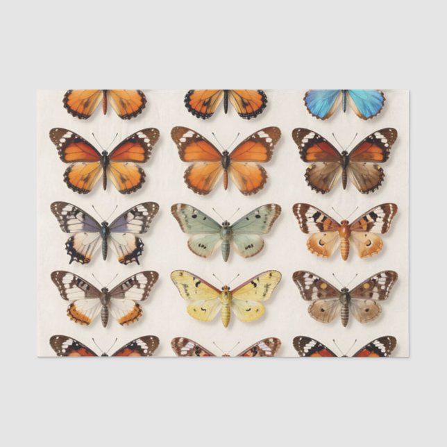 Vintage Butterfly Collection Grid Display Tissue Paper (Front)