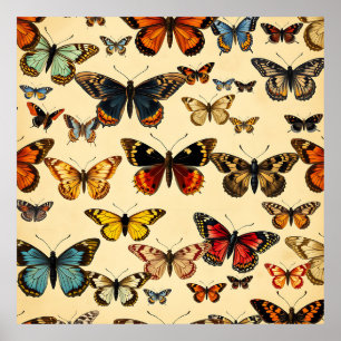 Vintage Butterfly Collection Pattern Poster
