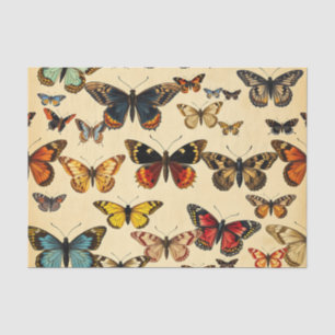 Vintage Butterfly Collection Pattern Tissue Paper