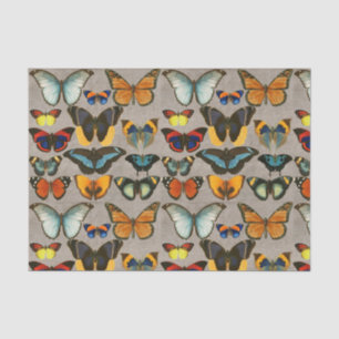 Vintage Butterfly Colourful Entomology Decoupage Tissue Paper