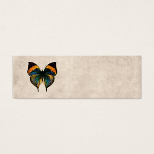 Vintage Butterfly Illustration 1800's Butterflies