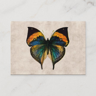Vintage Butterfly Illustration 1800's Butterflies Business Card
