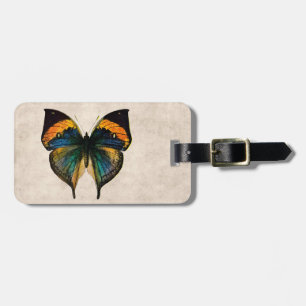 Vintage Butterfly Illustration 1800's Butterflies Luggage Tag