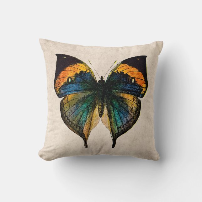 Vintage Butterfly Illustration - Butterflies Cushion (Front)