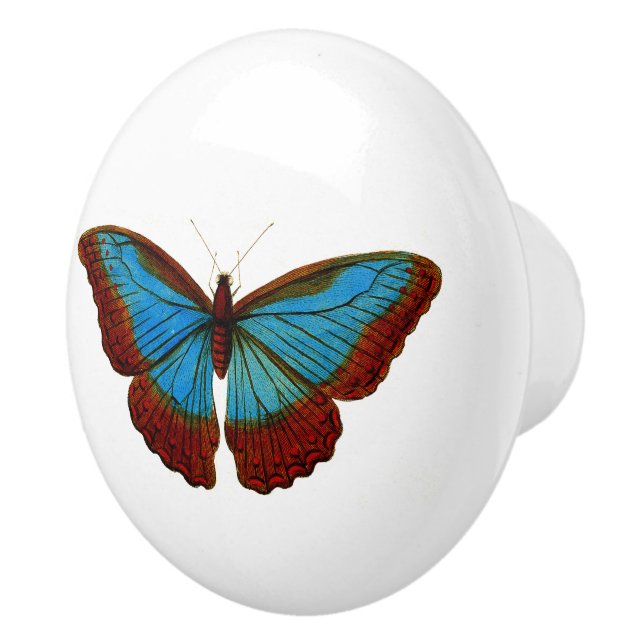 Vintage Butterfly Illustration Ceramic Knob (Right)