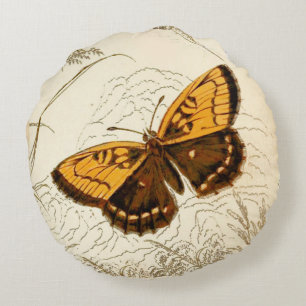 Vintage Butterfly Illustration, Gold and Brown Round Cushion