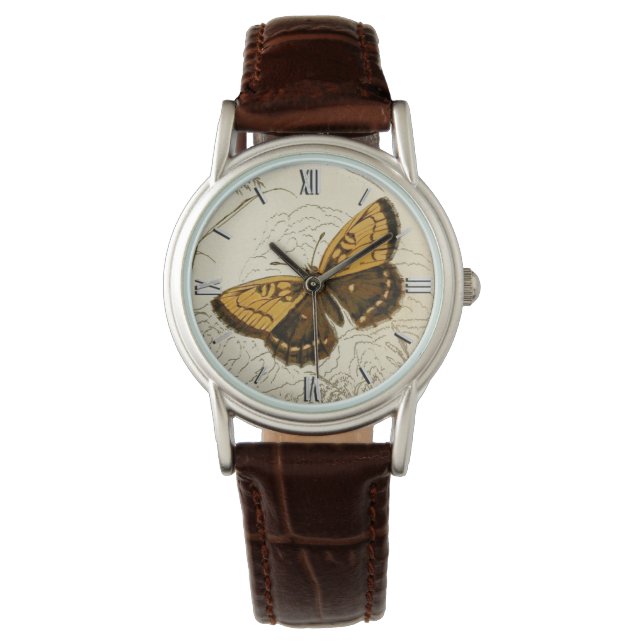 Vintage Butterfly Illustration, Gold and Brown Watch (Front)