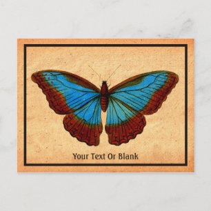 Vintage Butterfly Illustration Holiday Postcard
