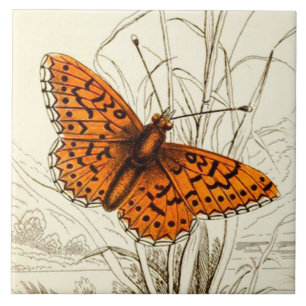 Vintage Butterfly Illustration, Orange and Black Ceramic Tile