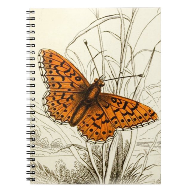Vintage Butterfly Illustration, Orange and Black Notebook (Front)