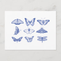 Vintage Butterfly Illustrations in Blue 