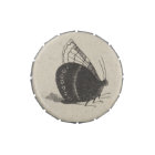 Vintage Butterfly Insect Nature Collection Box