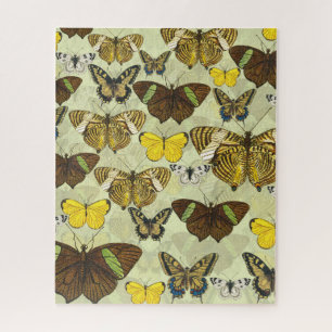 Vintage Butterfly Moth Chart Pattern Jigsaw Puzzle