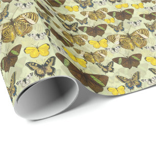 Vintage Butterfly Moth Chart Pattern Wrapping Paper