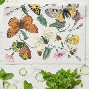 Vintage Butterfly & Moth Painting Tea Towel