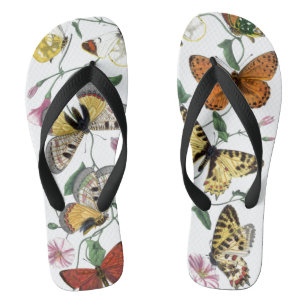 Vintage Butterfly & Moth Painting Thongs