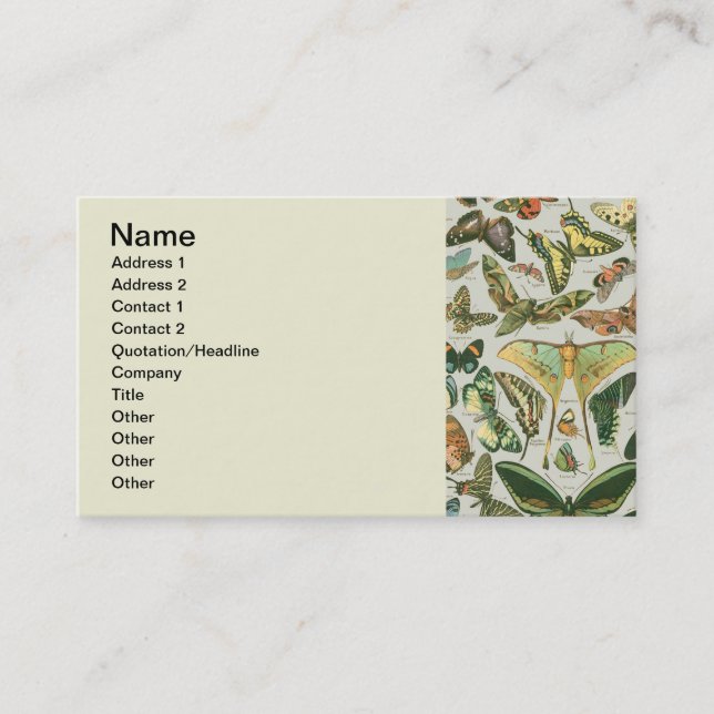 Vintage Butterfly Moth Pattern Print Business Card (Front)