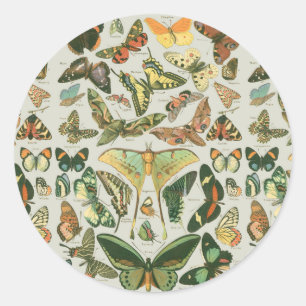 Vintage Butterfly Moth Pattern Print Classic Round Sticker
