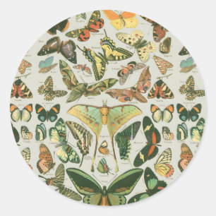 Vintage Butterfly Moth Pattern Print Classic Round Sticker