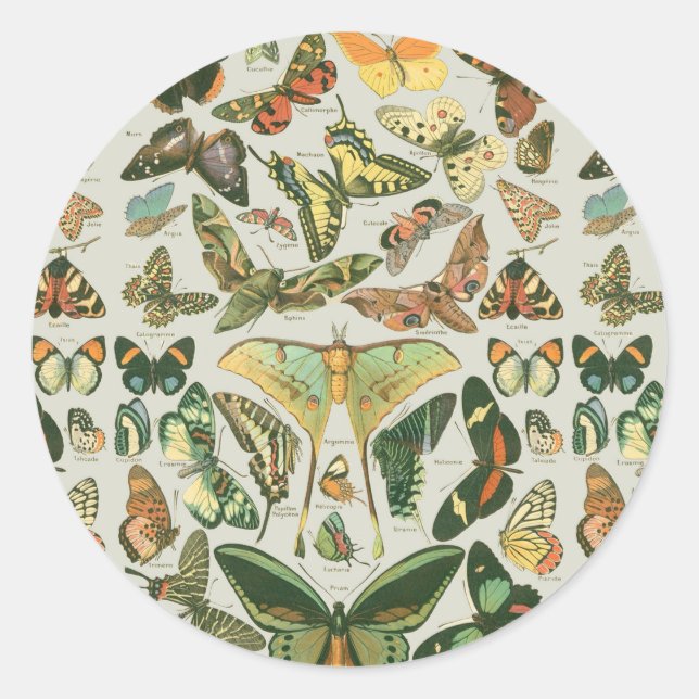 Vintage Butterfly Moth Pattern Print Classic Round Sticker (Front)