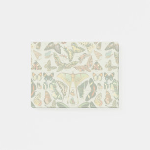 Vintage Butterfly Moth Pattern Print Post-it Notes