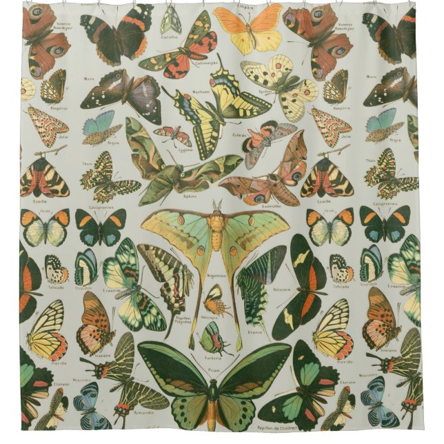Vintage Butterfly Moth Pattern Print Shower Curtain (Front)
