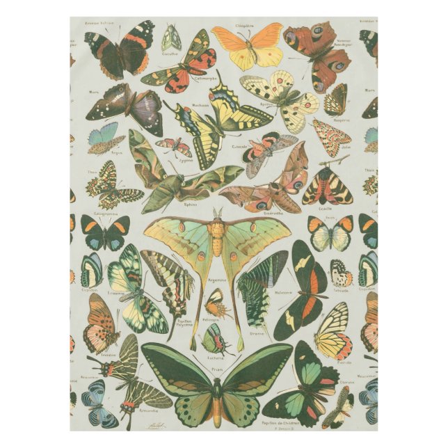 Vintage Butterfly Moth Pattern Print Tablecloth (Front)