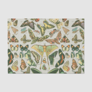 Vintage Butterfly Moth Pattern Print Tissue Paper