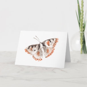 Vintage Butterfly Old Illustration Card