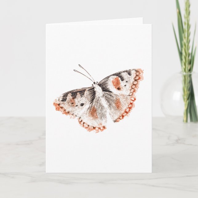 Vintage Butterfly Old Illustration Card (Front)