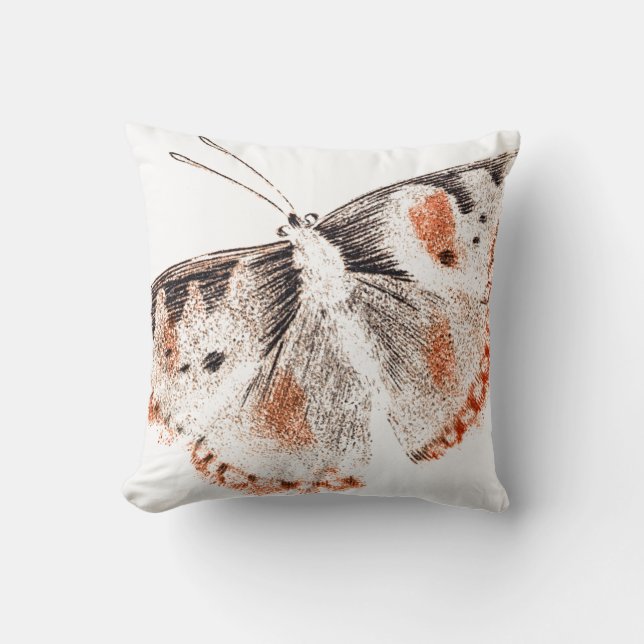 Vintage Butterfly Old Illustration Cushion (Front)