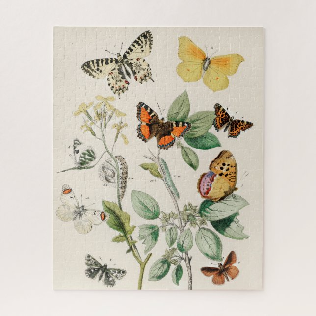 Vintage Butterfly Papillon Old Illustration Art Jigsaw Puzzle (Vertical)