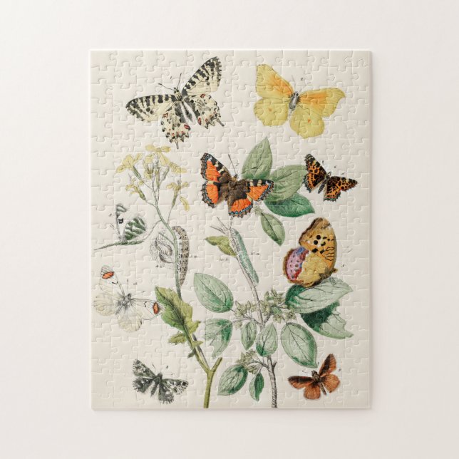 Vintage Butterfly Papillon Old Illustration Art Jigsaw Puzzle (Vertical)
