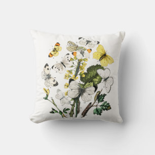 Vintage Butterfly Papillon Old Illustration Cushion