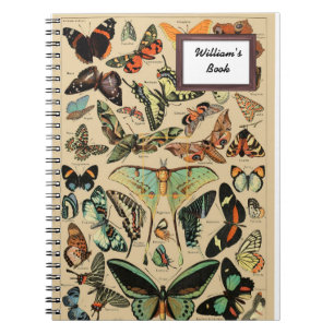 Vintage butterfly/papillons - personalise notebook