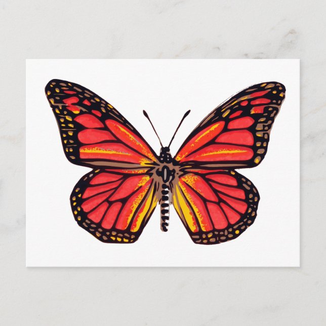 Vintage Butterfly Print Postcard (Front)
