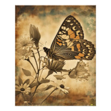 Vintage Butterfly with White Flowers