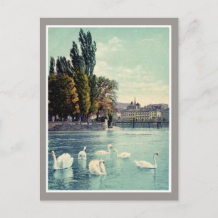 Vintage c. 1900 Geneva Swans at the Ile Rousseau Postcard