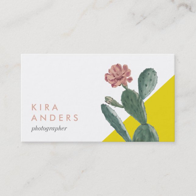 Vintage Cactus Colour Block Business Cards (Front)