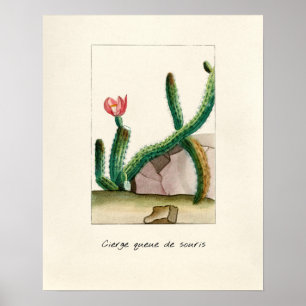 Vintage Cactus Illustration Poster