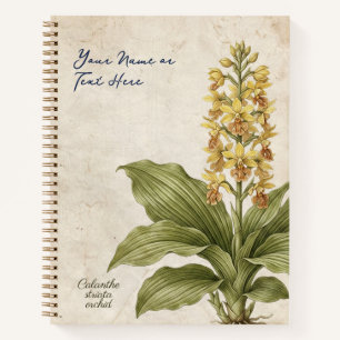 Vintage Calanthe Striata Botanical Fraud  Notebook