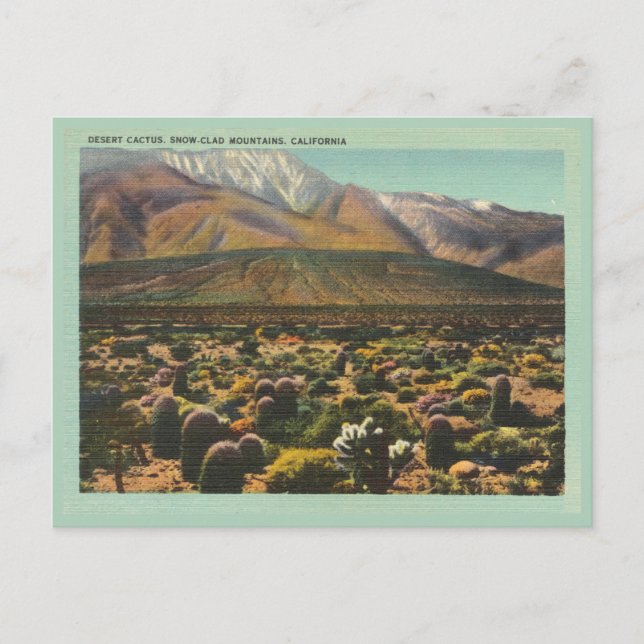 Vintage California desert and mountains scene Postcard (Front)