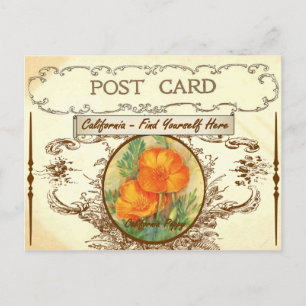 Vintage California State Flower Postcard