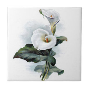 Vintage calla lily ceramic tile