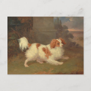 Vintage Calvalier King Charles Spaniel Painting Postcard