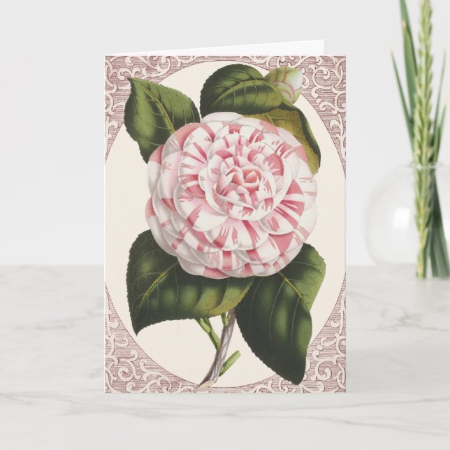 Vintage Camellia Elegant Thank You Card (Front)